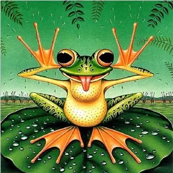 Полный 5D Diy Алмазная картина Мультфильм животных Лягушка Вышивка Крестом Домашний Декор Ручной Подарок 30x30cm