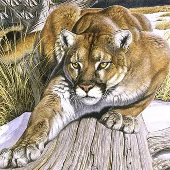 Полный 5D Diy Алмазная картина Мультфильм Животное Леопард Вышивка Крестом Домашний Декор Ручной Подарок 25x25cm