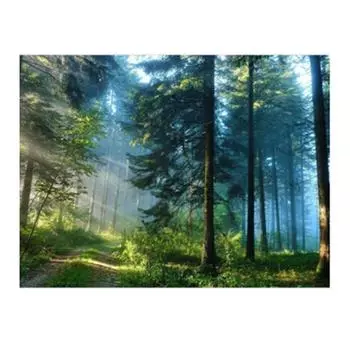 Полный 5D Diy Алмазная картина Мультфильм Лес Вид Мозаика Вышивка Крестом Домашний Декор Ручной Работы 25x30cm