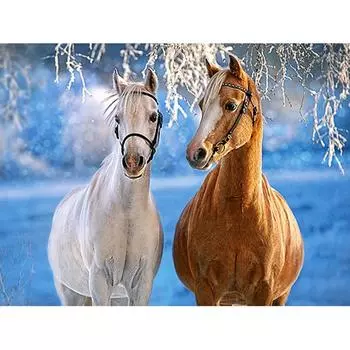 Полный 5D Diy Алмазная картина Мультфильм Животное Лошадь Вышивка Крестом Домашний Декор Ручной Подарок 25x30cm