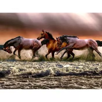 Полный 5D Diy Алмазная картина Мультфильм Животное Лошадь Вышивка Крестом Домашний Декор Ручной Подарок 25x30cm