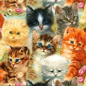 Полный 5D Diy Алмазная картина Мультфильм животных Домашнее животное Кошки Вышивка Крестом Домашний декор Ручная работа 25x25cm