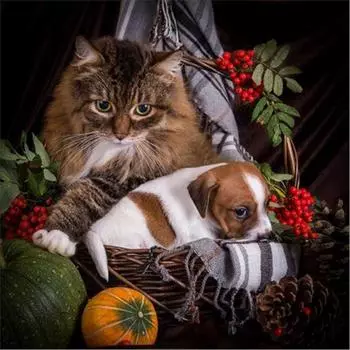 Полный 5D Diy Алмазная картина мультфильм животных кошка и собака вышивка крестом домашний декор ручной работы 25x25cm