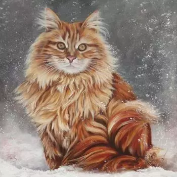 Полный 5D Diy Алмазная картина Мультфильм Животное Кошка Вышивка Крестом Домашний Декор Ручной Подарок 25x25cm