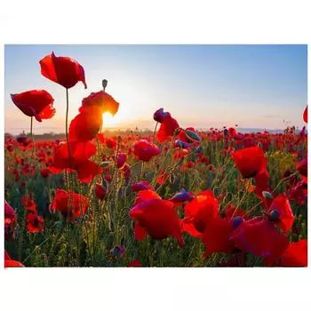 Полный 5D Diy Алмазная картина Мультфильм Пейзаж Цветок Вышивка Крестом Домашний Декор Ручной Работы 25x30cm