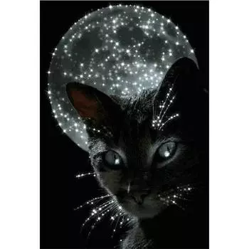 Полный 5D Diy Алмазная картина Мультфильм Черный Кот Алмазная вышивка Крестом Домашний декор Ручная работа 20x30cm