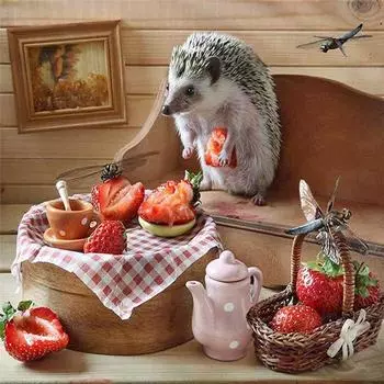 Полный 5D Diy Алмазная картина Мультфильм Ежик Мозаика Вышивка Крестом Домашний Декор Ручной Работы 25x25cm