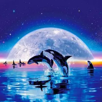 Полный 5D Diy Алмазная картина Мультфильм Дельфин Мозаика Вышивка Крестом Домашний Декор Ручной Работы 25x25cm