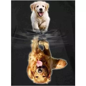 Полный 5D Diy Алмазная картина Мультфильм животных Алмазная вышивка Крест Стежок Главная Декор Ручной подарок 20x30cm