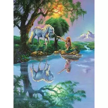 Полный 5D Diy Алмазная картина Мультфильм Женщина и Лошадь Вышивка Крестом Домашний Декор Ручной Работы 25x30cm
