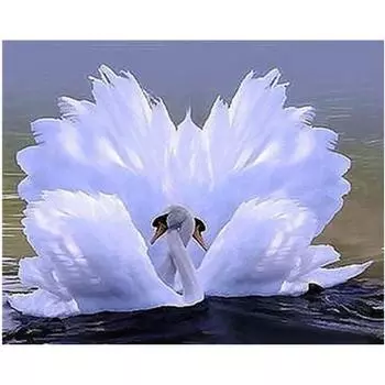 Полный 5D Diy Алмазная картина Мультфильм Лебедь Алмазная вышивка Крест Стежок Главная Декор Ручной подарок 25x30cm