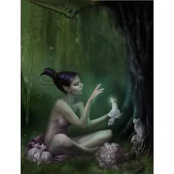 Полный 5D Diy Алмазная картина Мультфильм Женский Эльф Вышивка Крестом Домашний Декор Ручной Подарок 25x30cm