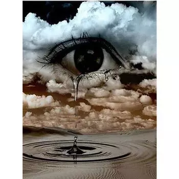 Полный 5D Diy Алмазная картина Мультфильм Слезы в глазах Вышивка крестом Домашний декор Подарок ручной работы 25x30cm