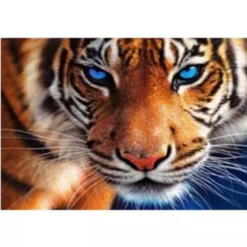 Полный 5D Diy Алмазная картина Мультфильм Тигр Алмазная вышивка Крест Стежок Главная Декор Ручной подарок 25x30cm