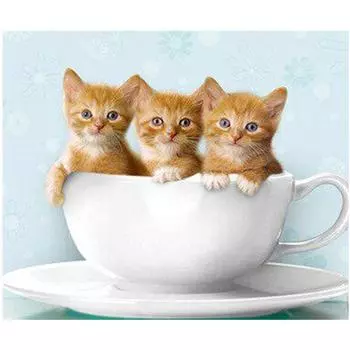 Полный 5D Diy Алмазная картина Мультфильм животных Кошка Мозаика Вышивка Крестом Домашний декор Ручная работа 25x30cm