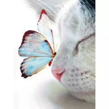 Полный 5D Diy Алмазная картина Мультфильм Кот и бабочка Вышивка крестом Домашний декор Ручная работа 25x30cm