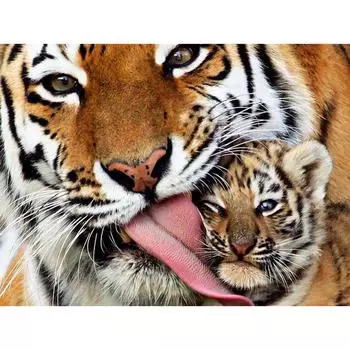Полный 5D Diy Алмазная картина Мультфильм животных Тигр Мозаика Вышивка Крестом Домашний декор Ручная работа 25x30cm