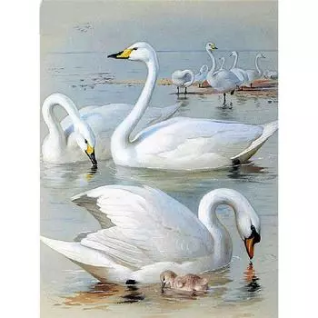 Полный 5D Diy Алмазная картина Мультфильм животных Гусь Мозаика Вышивка Крестом Домашний декор Ручная работа 25x30cm
