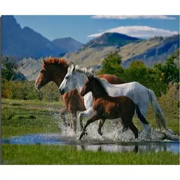 Полный 5D Diy Алмазная картина Мультфильм животных Лошадь Мозаика Вышивка Крестом Домашний декор Ручная работа 25x30cm