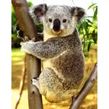 Полный 5D Diy Алмазная картина Мультфильм Коала Мозаика Вышивка Крестом Домашний Декор Ручной Подарок 25x30cm