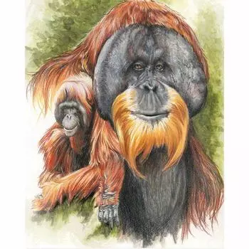 Полный 5D Diy Алмазная картина Мультфильм животных Орангутанг Вышивка Крестом Домашний декор Ручная работа 25x30cm