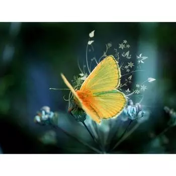 Полный 5D Diy Алмазная картина Мультфильм животных Бабочка Вышивка Крестом Домашний декор Ручная работа 25x30cm