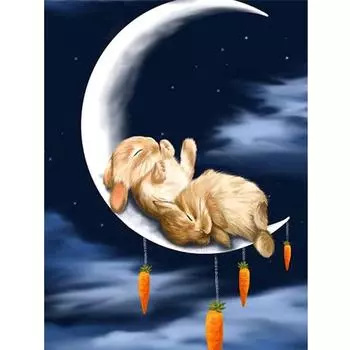 Полный 5D Diy Алмазная картина Мультфильм Кролик на Луне Вышивка Крестом Домашний Декор Ручная работа 25x30cm