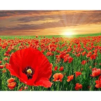 Полный 5D Diy Алмазная картина Мультфильм Пейзаж Цветок Вышивка Крестом Домашний Декор Ручной Работы 25x30cm