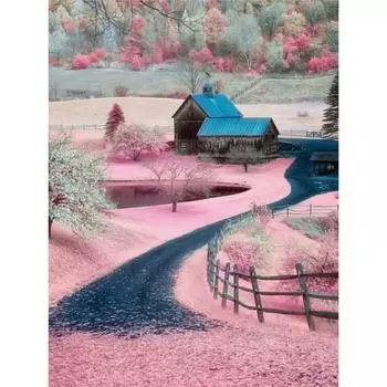 Полный 5D Diy Алмазная картина Мультфильм Сельский пейзаж Вышивка Крестом Домашний декор Ручная работа 25x30cm