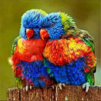 Полный 5D Diy Алмазная картина Мультфильм Попугаи Мозаика Вышивка Крестом Домашний Декор Подарок ручной работы 25x25cm