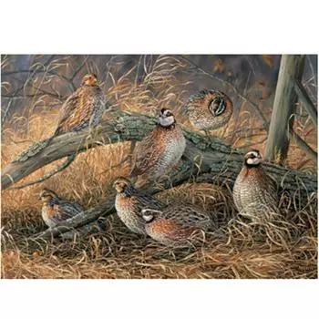 Полный 5D Diy Алмазная картина Мультфильм Маленькие Птички Мозаика Вышивка Крестом Домашний Декор Ручной Работы 25x30cm