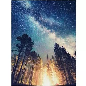 Полный 5D Diy Алмазная картина Мультфильм Звездное небо Лес Вышивка Крестом Домашний Декор Ручная работа 25x30cm