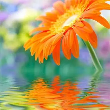 Полный 5D Diy Алмазная картина Мультфильм Цветочная Мозаика Вышивка Крестом Домашний Декор Ручной Подарок 25x25cm