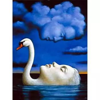 Полный 5D Diy Алмазная картина Мультфильм Женщина Гусь Мозаика Вышивка Крестом Домашний Декор Ручной Работы 25x30cm