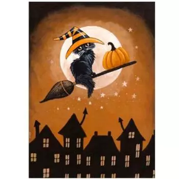 Полный 5D Diy Алмазная картина Мультфильм Летающий Кот Мозаика Вышивка Крестом Домашний Декор Ручной Работы 25x30cm