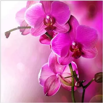 Полный 5D Diy Алмазная картина Мультфильм Цветок Алмазная вышивка Крест Стежок Главная Декор Ручной подарок 30x30cm