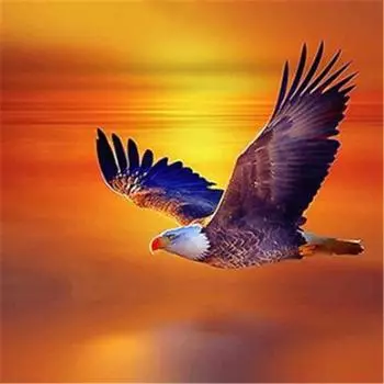 Полный 5D Diy Алмазная картина Мультфильм Орел Парить Мозаика Вышивка Крестом Домашний Декор Ручной Работы 25x25cm