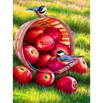 Полный 5D Diy Алмазная картина Мультфильм Яблоко и птица Вышивка Крестом Домашний декор Ручная работа 25x30cm