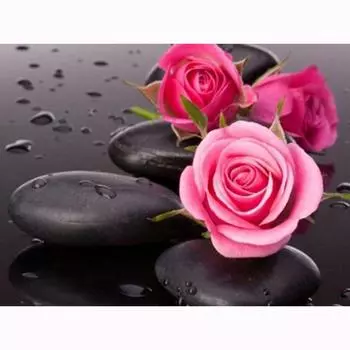 Полный 5D Diy Алмазная картина Мультфильм Цветочная Мозаика Вышивка Крестом Домашний Декор Ручной Подарок 25x30cm