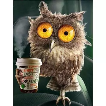 Полный 5D Diy Алмазная картина Мультфильм Сова Мозаика Вышивка Крестом Домашний Декор Ручной Подарок 25x30cm