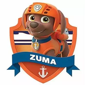 Полный 5D Diy Алмазная картина Мультфильм щенок Зума Вышивка Крестом Домашний Декор Подарок ручной работы 25x25cm