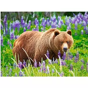 Полный 5D Diy Алмазная картина Мультфильм животных Медведь Вышивка Крестом Домашний Декор Ручной подарок 25x30cm