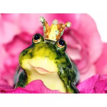 Полный 5D Diy Алмазная картина Мультфильм Лягушка Принц Мозаика Вышивка Крестом Домашний Декор Ручной Работы 25x30cm