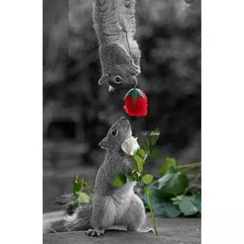 Полный 5D Diy Алмазная картина «Мышь и роза», Алмазная вышивка, полная вышивка крестиком, домашний декор, подарок ручной работы 20x30cm