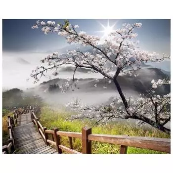 Полный 5D Diy Алмазная картина на склоне холма деревянная лестница Вышивка крестиком Домашний декор Подарок ручной работы 25x30cm
