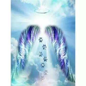 Полный 5D DIY Алмазная картина Небесные крылья Алмазная вышивка Мозаика Наборы вышивки крестом Домашний декор Подарки ручной работы Round 20x30cm