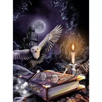 Полный 5D Diy Алмазная картина Ночная Сова Вышивка Крестом Домашний Декор Ручной Подарок 20X25CM