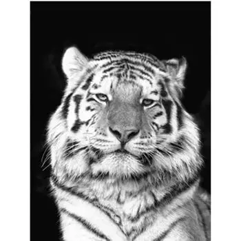 Полный 5D Diy Алмазная картина Обиженный Тигр Вышивка Крестом Домашний Декор Ручной Подарок 25x30cm