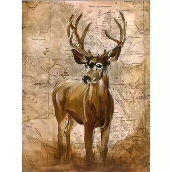 Полный 5D Diy Алмазная картина Олень и карта Вышивка Крестом Домашний декор Подарок ручной работы 25x30cm