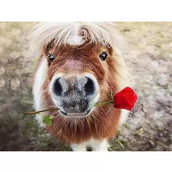 Полный 5D Diy Алмазная картина Осел и цветок Алмазная вышивка Полный вышивка крестиком Домашний декор Подарок ручной работы 20x30cm